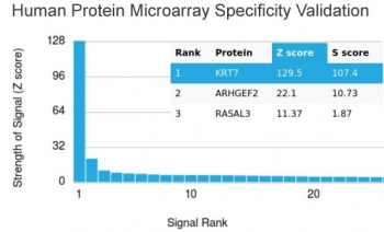 Analysis of HuProt(TM) microarray containing more than 19,000 full-length human proteins using recombinant Cytokeratin 7 antibody (clone rOV-TL12/30). These results demonstrate the foremost specificity of the rOV-TL12/30 mAb. Z- and S- score: The Z-score represents the strength of a signal that an antibody (in combination with a fluorescently-tagged anti-IgG secondary Ab) produces when binding to a particular protein on the HuProt(TM) array. Z-scores are described in units of standard deviations (SD's) above the mean value of all signals generated on that array. If the targets on the HuProt(TM) are arranged in descending order of the Z-score, the S-score is the difference (also in units of SD's) between the Z-scores. The S-score therefore represents the relative target specificity of an Ab to its intended target.