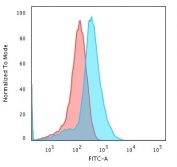 Flow cytometry testing of methanol-fixed human HepG2 cells with recombinant GPC3 antibody (clone rGPC3/863); Red=isotype control, Blue= recombinant GPC3 antibody.