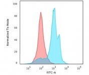 Flow cytometry testing of methanol-fixed human HepG2 cells with recombinant Glypican 3 antibody (clone SGPN3-2R); Red=isotype control, Blue= recombinant Glypican 3 antibody.