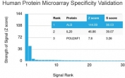 Analysis of HuProt(TM) microarray containing more than 19,000 full-length human proteins using Albumin antibody (clone ALB/2144). These results demonstrate the foremost specificity of the ALB/2144 mAb. Z- and S- score: The Z-score represents the strength of a signal that an antibody (in combination with a fluorescently-tagged anti-IgG secondary Ab) produces when binding to a particular protein on the HuProt(TM) array. Z-scores are described in units of standard deviations (SD's) above the mean value of all signals generated on that array. If the targets on the HuProt(TM) are arranged in descending order of the Z-score, the S-score is the difference (also in units of SD's) between the Z-scores. The S-score therefore represents the relative target specificity of an Ab to its intended target.