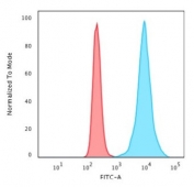 Flow cytometry testing of permeabilzed human HeLa cells with recombinant Histone H1 antibody (clone r1415-1); Red=isotype control, Blue= recombinant Histone H1 antibody.