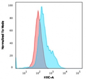 Flow testing of fixed and permeabilized human HeLa cells with Annexin A1 antibody (clone 6E4/3). Red=isotype control, Blue= Annexin A1 antibody.
