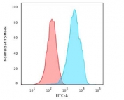 Flow cytometry testing of PFA-fixed human K562 cells with recombinant CD43 antibody (clone CDLA43-2R); Red=isotype control, Blue= recombinant CD43 antibody.