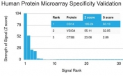 Analysis of HuProt(TM) microarray containing more than 19,000 full-length human proteins using CD14 antibody (clone LPSR/2397). These results demonstrate the foremost specificity of the LPSR/2397 mAb. Z- and S- score: The Z-score represents the strength of a signal that an antibody (in combination with a fluorescently-tagged anti-IgG secondary Ab) produces when binding to a particular protein on the HuProt(TM) array. Z-scores are described in units of standard deviations (SD's) above the mean value of all signals generated on that array. If the targets on the HuProt(TM) are arranged in descending order of the Z-score, the S-score is the difference (also in units of SD's) between the Z-scores. The S-score therefore represents the relative target specificity of an Ab to its intended target.