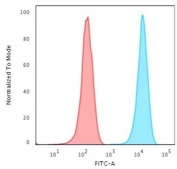 Flow cytometry testing of human Jurkat cells with CD3e antibody (clone UCHT1); Red=isotype control, Blue= CD3e antibody.