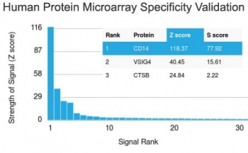 Analysis of HuProt(TM) microarray containing more than 19,000 full-length human proteins using CD14 antibody (clone LPSR/2386). These results demonstrate the foremost specificity of the LPSR/2386 mAb.<BR>Z- and S- score: The Z-score represents the strength of a signal that an antibody (in combination with a fluorescently-tagged anti-IgG secondary Ab) produces when binding to a particular protein on the HuProt(TM) array. Z-scores are described in units of standard deviations (SD's) above the mean value of all signals generated on that array. If the targets on the HuProt(TM) are arranged in descending order of the Z-score, the S-score is the difference (also in units of SD's) between the Z-scores. The S-score therefore represents the relative target specificity of an Ab to its intended target.