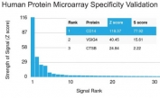 Analysis of HuProt(TM) microarray containing more than 19,000 full-length human proteins using CD14 antibody (clone LPSR/2386). These results demonstrate the foremost specificity of the LPSR/2386 mAb. Z- and S- score: The Z-score represents the strength of a signal that an antibody (in combination with a fluorescently-tagged anti-IgG secondary Ab) produces when binding to a particular protein on the HuProt(TM) array. Z-scores are described in units of standard deviations (SD's) above the mean value of all signals generated on that array. If the targets on the HuProt(TM) are arranged in descending order of the Z-score, the S-score is the difference (also in units of SD's) between the Z-scores. The S-score therefore represents the relative target specificity of an Ab to its intended target.
