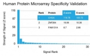 Analysis of HuProt(TM) microarray containing more than 19,000 full-length human proteins using recombinant Chromogranin A antibody (clone rCHGA/798). These results demonstrate the foremost specificity of the rCHGA/798 mAb. Z- and S- score: The Z-score represents the strength of a signal that an antibody (in combination with a fluorescently-tagged anti-IgG secondary Ab) produces when binding to a particular protein on the HuProt(TM) array. Z-scores are described in units of standard deviations (SD's) above the mean value of all signals generated on that array. If the targets on the HuProt(TM) are arranged in descending order of the Z-score, the S-score is the difference (also in units of SD's) between the Z-scores. The S-score therefore represents the relative target specificity of an Ab to its intended target.