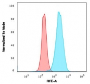 Flow cytometry testing of PFA-fixed human Raji cells with CD45RB antibody (clone CDLA45RB-2R); Red=isotype control, Blue= CD45RB antibody.