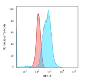Calponin 1 Antibody K562 FACS. Flow cytometry analysis of PFA-fixed human K562 cells using Calponin 1 antibody, clone rCNN1/832, followed by goat anti-mouse IgG-CF488 (blue). A clear rightward shift relative to the isotype control (red) indicates intracellular detection of Calponin 1 / CNN1, consistent with cytoplasmic localization of this actin-binding contractile protein.