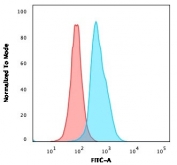 Flow cytometry testing of human Ramos cells with CD22 antibody (clone BLCAM/1796); Red=isotype control, Blue= CD22 antibody.