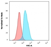 Flow cytometry testing of human Ramos cells with CD22 antibody (clone CDLA22-1); Red=isotype control, Blue= CD22 antibody.