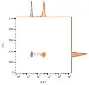 FACS staining of bead-bound exosomes derived from human MCF7 cells: Gray = unstained, Orange = CF568 labeled CD63 antibody (clone CD9/2343).