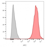 Flow cytometry staining of human MCF7 cells with CD9 antibody (clone CD9/2343); Gray=unstained, Red= CD9 antibody.