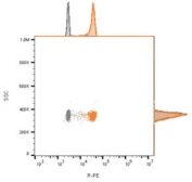 FACS staining of bead-bound exosomes derived from human MCF7 cells: Gray = unstained, Orange = CF568 labeled CD63 antibody.