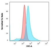 Flow cytometry testing of fixed human U-87 MG cells with CD68 antibody (clone LAMP4/1830); Red=isotype control, Blue= CD68 antibody.