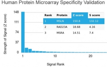 Analysis of HuProt(TM) microarray containing more than 19,000 full-length human proteins using Mesothelin antibody (clone MSLN/2131). These results demonstrate the foremost specificity of the MSLN/2131 mAb.<br><br>Z- and S- score: The Z-score represents the strength of a signal that an antibody (in combination with a fluorescently-tagged anti-IgG secondary Ab) produces when binding to a particular protein on the HuProt(TM) array. Z-scores are described in units of standard deviations (SD's) above the mean value of all signals generated on that array. If the targets on the HuProt(TM) are arranged in descending order of the Z-score, the S-score is the difference (also in units of SD's) between the Z-scores. The S-score therefore represents the relative target specificity of an Ab to its intended target.