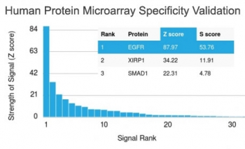 Analysis of HuProt(TM) microarray containing more than 19,000 full-length human proteins using EGFR antibody (clone GFR/2341). These results demonstrate the foremost specificity of the GFR/2341 mAb.<br>Z- and S- score: The Z-score represents the strength of a signal that an antibody (in combination with a fluorescently-tagged anti-IgG secondary Ab) produces when binding to a particular protein on the HuProt(TM) array. Z-scores are described in units of standard deviations (SD's) above the mean value of all signals generated on that array. If the targets on the HuProt(TM) are arranged in descending order of the Z-score, the S-score is the difference (also in units of SD's) between the Z-scores. The S-score therefore represents the relative target specificity of an Ab to its intended target.