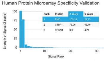 Analysis of HuProt(TM) microarray containing more than 19,000 full-length human proteins using Emerin antibody (clone EMD/2167). These results demonstrate the foremost specificity of the EMD/2167 mAb.<BR>Z- and S- score: The Z-score represents the strength of a signal that an antibody (in combination with a fluorescently-tagged anti-IgG secondary Ab) produces when binding to a particular protein on the HuProt(TM) array. Z-scores are described in units of standard deviations (SD's) above the mean value of all signals generated on that array. If the targets on the HuProt(TM) are arranged in descending order of the Z-score, the S-score is the difference (also in units of SD's) between the Z-scores. The S-score therefore represents the relative target specificity of an Ab to its intended target.