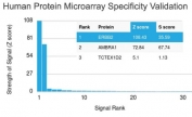 Analysis of HuProt(TM) microarray containing more than 19,000 full-length human proteins using HER2 antibody (clone ERBB2/2452). These results demonstrate the foremost specificity of the ERBB2/2452 mAb.<BR>Z- and S- score: The Z-score represents the strength of a signal that an antibody (in combination with a fluorescently-tagged anti-IgG secondary Ab) produces when binding to a particular protein on the HuProt(TM) array. Z-scores are described in units of standard deviations (SD's) above the mean value of all signals generated on that array. If the targets on the HuProt(TM) are arranged in descending order of the Z-score, the S-score is the difference (also in units of SD's) between the Z-scores. The S-score therefore represents the relative target specificity of an Ab to its intended target.