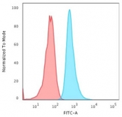 Flow cytometry testing of PFA-fixed human HeLa cells with Cytokeratin 6 antibody (clone KRT6A/2368); Red=isotype control, Blue= Cytokeratin 6 antibody.