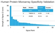 Analysis of HuProt(TM) microarray containing more than 19,000 full-length human proteins using recombinant Kappa Light Chain antibody (clone rL1C1). These results demonstrate the foremost specificity of the rL1C1 mAb. Z- and S- score: The Z-score represents the strength of a signal that an antibody (in combination with a fluorescently-tagged anti-IgG secondary Ab) produces when binding to a particular protein on the HuProt(TM) array. Z-scores are described in units of standard deviations (SD's) above the mean value of all signals generated on that array. If the targets on the HuProt(TM) are arranged in descending order of the Z-score, the S-score is the difference (also in units of SD's) between the Z-scores. The S-score therefore represents the relative target specificity of an Ab to its intended target.