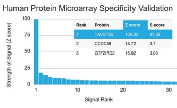 Analysis of HuProt(TM) microarray containing more than 19,000 full-length human proteins using TROP2 antibody (clone TACSTD2/2153). These results demonstrate the foremost specificity of the TACSTD2/2153 mAb.<BR>Z- and S- score: The Z-score represents the strength of a signal that an antibody (in combination with a fluorescently-tagged anti-IgG secondary Ab) produces when binding to a particular protein on the HuProt(TM) array. Z-scores are described in units of standard deviations (SD's) above the mean value of all signals generated on that array. If the targets on the HuProt(TM) are arranged in descending order of the Z-score, the S-score is the difference (also in units of SD's) between the Z-scores. The S-score therefore represents the relative target specificity of an Ab to its intended target.
