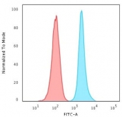 FACS testing of human HeLa cells with Ki-67 antibody (blue, clone MKI67/2462) and isotype control (red). Cells were trypsinized and 2-4% PFA-fixed prior to staining. 