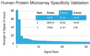 Analysis of HuProt(TM) microarray containing more than 19,000 full-length human proteins using Glial Fibrillary Acidic Protein antibody (clone GFAP/2076). These results demonstrate the foremost specificity of the GFAP/2076 mAb.<BR>Z- and S- score: The Z-score represents the strength of a signal that an antibody (in combination with a fluorescently-tagged anti-IgG secondary Ab) produces when binding to a particular protein on the HuProt(TM) array. Z-scores are described in units of standard deviations (SD's) above the mean value of all signals generated on that array. If the targets on the HuProt(TM) are arranged in descending order of the Z-score, the S-score is the difference (also in units of SD's) between the Z-scores. The S-score therefore represents the relative target specificity of an Ab to its intended target.
