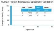 Analysis of HuProt(TM) microarray containing more than 19,000 full-length human proteins using Glycoprotein 2 antibody (clone GP2/1805). These results demonstrate the foremost specificity of the GP2/1805 mAb. Z- and S- score: The Z-score represents the strength of a signal that an antibody (in combination with a fluorescently-tagged anti-IgG secondary Ab) produces when binding to a particular protein on the HuProt(TM) array. Z-scores are described in units of standard deviations (SD's) above the mean value of all signals generated on that array. If the targets on the HuProt(TM) are arranged in descending order of the Z-score, the S-score is the difference (also in units of SD's) between the Z-scores. The S-score therefore represents the relative target specificity of an Ab to its intended target.