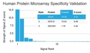 Analysis of HuProt(TM) microarray containing more than 19,000 full-length human proteins using SOX4 antibody (clone SOX4/2540). These results demonstrate the foremost specificity of the SOX4/2540 mAb. Z- and S- score: The Z-score represents the strength of a signal that an antibody (in combination with a fluorescently-tagged anti-IgG secondary Ab) produces when binding to a particular protein on the HuProt(TM) array. Z-scores are described in units of standard deviations (SD's) above the mean value of all signals generated on that array. If the targets on the HuProt(TM) are arranged in descending order of the Z-score, the S-score is the difference (also in units of SD's) between the Z-scores. The S-score therefore represents the relative target specificity of an Ab to its intended target.