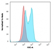 Flow cytometry testing of PFA-fixed human Ramos cells with PU.1 antibody (clone PU1/2146); Red=isotype control, Blue= PU.1 antibody.