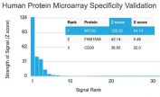 Analysis of HuProt(TM) microarray containing more than 19,000 full-length human proteins using Myogenin antibody (clone MYOG/2660). These results demonstrate the foremost specificity of the MYOG/2660 mAb. Z- and S- score: The Z-score represents the strength of a signal that an antibody (in combination with a fluorescently-tagged anti-IgG secondary Ab) produces when binding to a particular protein on the HuProt(TM) array. Z-scores are described in units of standard deviations (SD's) above the mean value of all signals generated on that array. If the targets on the HuProt(TM) are arranged in descending order of the Z-score, the S-score is the difference (also in units of SD's) between the Z-scores. The S-score therefore represents the relative target specificity of an Ab to its intended target.