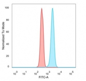 Flow cytometry staining of PFA-fixed human HeLa cells with STAT6 antibody; Red=isotype control, Blue= STAT6 antibody.