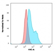 Flow cytometry testing of PFA-fixed human Raji cells with BOB-1 antibody (clone BOB1/2424); Red=isotype control, Blue= BOB-1 antibody.
