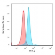 Flow cytometry staining of PFA-fixed human HeLa cells with Nucleophosmin antibody; Red=isotype control, Blue= Nucleophosmin antibody.