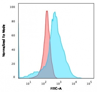 Flow cytometry testing of human K562 cells with GLUT1 antibody (clone GLUT1/2475); Red=isotype control, Blue= GLUT1 antibody.