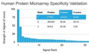 Analysis of HuProt(TM) microarray containing more than 19,000 full-length human proteins using PTEN antibody (clone PTEN/2110). These results demonstrate the foremost specificity of the PTEN/2110 mAb. Z- and S- score: The Z-score represents the strength of a signal that an antibody (in combination with a fluorescently-tagged anti-IgG secondary Ab) produces when binding to a particular protein on the HuProt(TM) array. Z-scores are described in units of standard deviations (SD's) above the mean value of all signals generated on that array. If the targets on the HuProt(TM) are arranged in descending order of the Z-score, the S-score is the difference (also in units of SD's) between the Z-scores. The S-score therefore represents the relative target specificity of an Ab to its intended target.