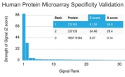 Analysis of HuProt(TM) microarray containing more than 19,000 full-length human proteins using CD163 antibody (clone M130/1210). These results demonstrate the foremost specificity of the M130/1210 mAb.<BR>Z- and S- score: The Z-score represents the strength of a signal that an antibody (in combination with a fluorescently-tagged anti-IgG secondary Ab) produces when binding to a particular protein on the HuProt(TM) array. Z-scores are described in units of standard deviations (SD's) above the mean value of all signals generated on that array. If the targets on the HuProt(TM) are arranged in descending order of the Z-score, the S-score is the difference (also in units of SD's) between the Z-scores. The S-score therefore represents the relative target specificity of an Ab to its intended target.