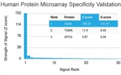 Analysis of HuProt(TM) microarray containing more than 19,000 full-length human proteins using CD40 antibody (clone C40/2383). These results demonstrate the foremost specificity of the C40/2383 mAb. Z- and S- score: The Z-score represents the strength of a signal that an antibody (in combination with a fluorescently-tagged anti-IgG secondary Ab) produces when binding to a particular protein on the HuProt(TM) array. Z-scores are described in units of standard deviations (SD's) above the mean value of all signals generated on that array. If the targets on the HuProt(TM) are arranged in descending order of the Z-score, the S-score is the difference (also in units of SD's) between the Z-scores. The S-score therefore represents the relative target specificity of an Ab to its intended target.