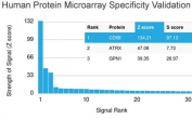 Analysis of HuProt(TM) microarray containing more than 19,000 full-length human proteins using CD68 antibody (clone C68/2501). These results demonstrate the foremost specificity of the C68/2501 mAb. Z- and S- score: The Z-score represents the strength of a signal that an antibody (in combination with a fluorescently-tagged anti-IgG secondary Ab) produces when binding to a particular protein on the HuProt(TM) array. Z-scores are described in units of standard deviations (SD's) above the mean value of all signals generated on that array. If the targets on the HuProt(TM) are arranged in descending order of the Z-score, the S-score is the difference (also in units of SD's) between the Z-scores. The S-score therefore represents the relative target specificity of an Ab to its intended target.