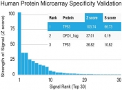 Analysis of HuProt(TM) microarray containing more than 19,000 full-length human proteins using p53 antibody (clone TP53/1739). These results demonstrate the foremost specificity of the TP53/1739 mAb. Z- and S- score: The Z-score represents the strength of a signal that an antibody (in combination with a fluorescently-tagged anti-IgG secondary Ab) produces when binding to a particular protein on the HuProt(TM) array. Z-scores are described in units of standard deviations (SD's) above the mean value of all signals generated on that array. If the targets on the HuProt(TM) are arranged in descending order of the Z-score, the S-score is the difference (also in units of SD's) between the Z-scores. The S-score therefore represents the relative target specificity of an Ab to its intended target.