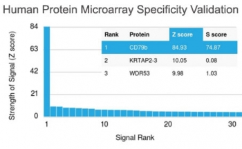 Analysis of HuProt(TM) microarray containing more than 19,000 full-length human proteins using CD79b antibody (clone IGB/1844). These results demonstrate the foremost specificity of the IGB/1844 mAb.<BR>Z- and S- score: The Z-score represents the strength of a signal that an antibody (in combination with a f
