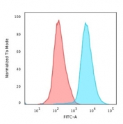 Flow cytometry testing of PFA-fixed human Jurkat cells with CD45 antibody (clone BRA55); Red=isotype control, Blue= CD45 antibody.