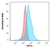 Flow cytometry staining of PFA-fixed human MOLT4 cells with CD21 antibody; Red=isotype control, Blue= CD21 antibody.