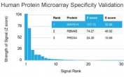 Analysis of HuProt(TM) microarray containing more than 19,000 full-length human proteins using MAPK14 antibody. These results demonstrate the foremost specificity of the CPTC-MAPK14-1 mAb. Z- and S- score: The Z-score represents the strength of a signal that an antibody (in combination with a fluorescently-tagged anti-IgG secondary Ab) produces when binding to a particular protein on the HuProt(TM) array. Z-scores are described in units of standard deviations (SD's) above the mean value of all signals generated on that array. If the targets on the HuProt(TM) are arranged in descending order of the Z-score, the S-score is the difference (also in units of SD's) between the Z-scores. The S-score therefore represents the relative target specificity of an Ab to its intended target.