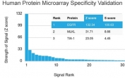 Analysis of HuProt(TM) microarray containing more than 19,000 full-length human proteins using recombinant EGF Receptor antibody (clone GFR/2968R). These results demonstrate the foremost specificity of the GFR/2968R mAb. Z- and S- score: The Z-score represents the strength of a signal that an antibody (in combination with a fluorescently-tagged anti-IgG secondary Ab) produces when binding to a particular protein on the HuProt(TM) array. Z-scores are described in units of standard deviations (SD's) above the mean value of all signals generated on that array. If the targets on the HuProt(TM) are arranged in descending order of the Z-score, the S-score is the difference (also in units of SD's) between the Z-scores. The S-score therefore represents the relative target specificity of an Ab to its intended target.