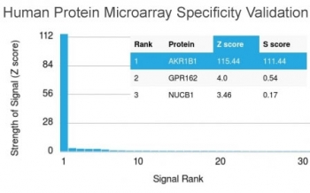 Analysis of HuProt(TM) microarray containing more than 19,000 full-length human proteins using AKR1B1 antibody (clone CPTC-AKR1B1-2). These results demonstrate the foremost specificity of the CPTC-AKR1B1-2 mAb.<BR>Z- and S- score: The Z-score represents the strength of a signal that an antibody (in combination with a fluorescently-tagged anti-IgG secondary Ab) produces when binding to a particular protein on the HuProt(TM) array. Z-scores are described in units of standard deviations (SD's) above the mean value of all signals generated on that array. If the targets on the HuProt(TM) are arranged in descending order of the Z-score, the S-score is the difference (also in units of SD's) between the Z-scores. The S-score therefore represents the relative target specificity of an Ab to its intended target.