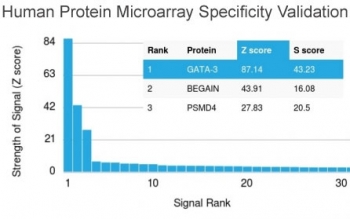 Analysis of HuProt(TM) microarray containing more than 19,000 full-length human proteins using GATA3 antibody (clone GATA3/2688). These results demonstrate the foremost specificity of the GATA3/2688 mAb.<BR>Z- and S- score: The Z-score represents the strength of a signal that an antibody (in combination with