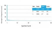 Analysis of HuProt(TM) microarray containing more than 19,000 full-length human proteins using S100A4 antibody (clone S100A4/7096). These results demonstrate the foremost specificity of the S100A4/7096 mAb. Z- and S- score: The Z-score represents the strength of a signal that an antibody (in combination with a fluorescently-tagged anti-IgG secondary Ab) produces when binding to a particular protein on the HuProt(TM) array. Z-scores are described in units of standard deviations (SD's) above the mean value of all signals generated on that array. If the targets on the HuProt(TM) are arranged in descending order of the Z-score, the S-score is the difference (also in units of SD's) between the Z-scores. The S-score therefore represents the relative target specificity of an Ab to its intended target.